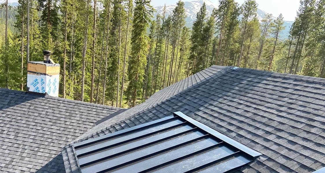 New Construction 5