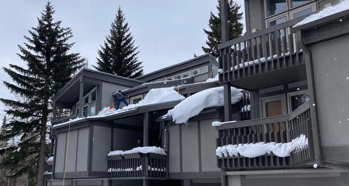 Snow Removal
