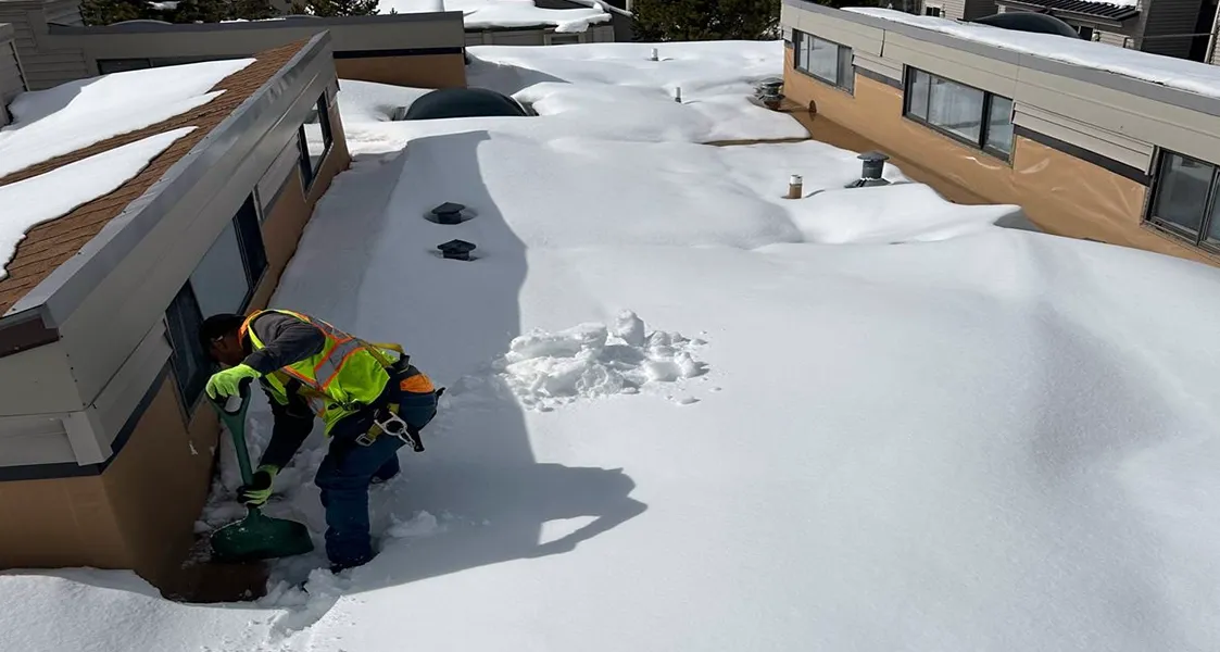 Snow Removal