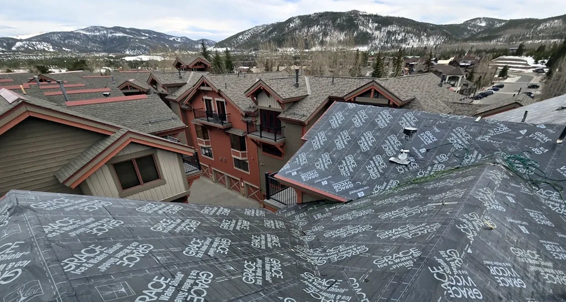 Whole Home Renovation